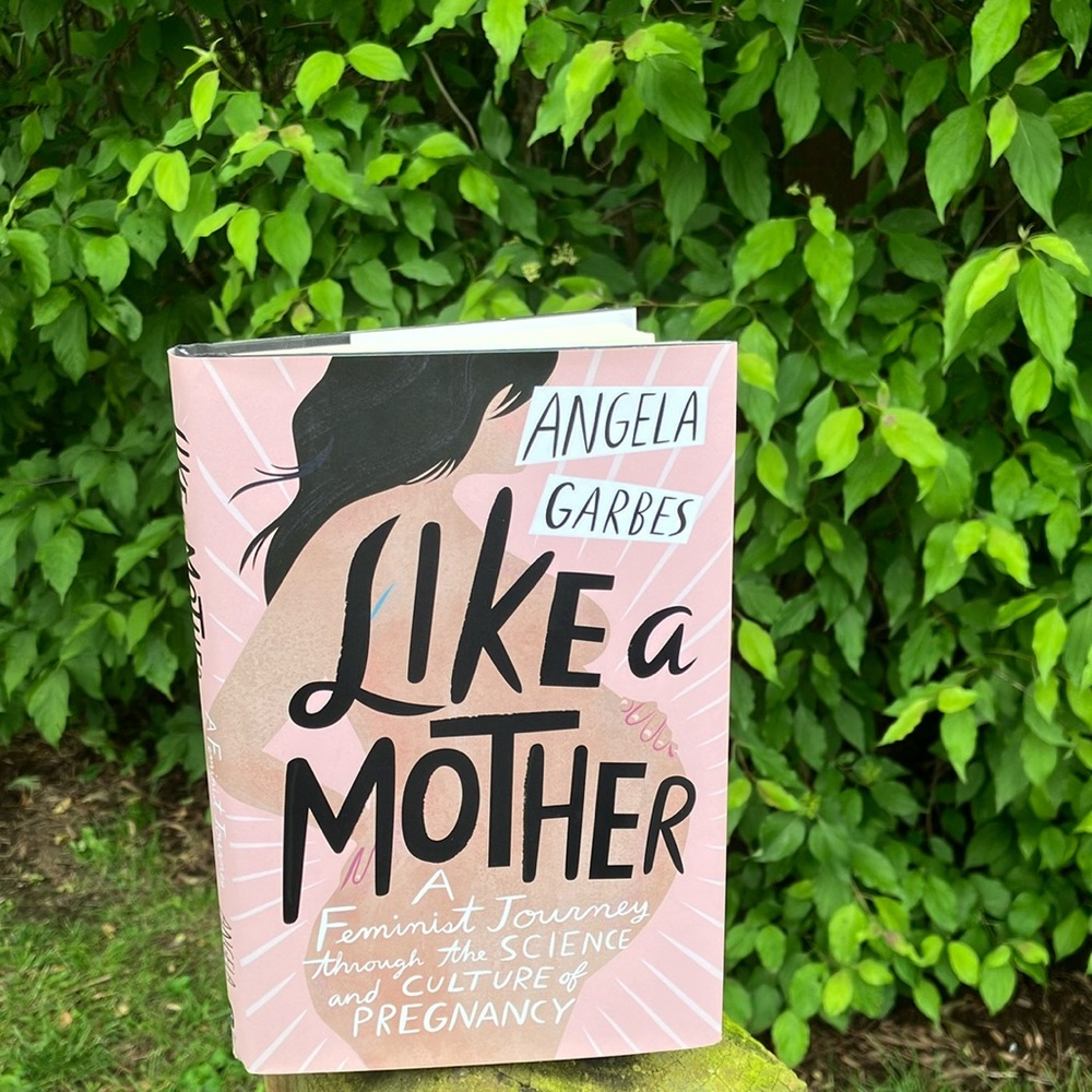 Like a Mother Book by Angela Garbes